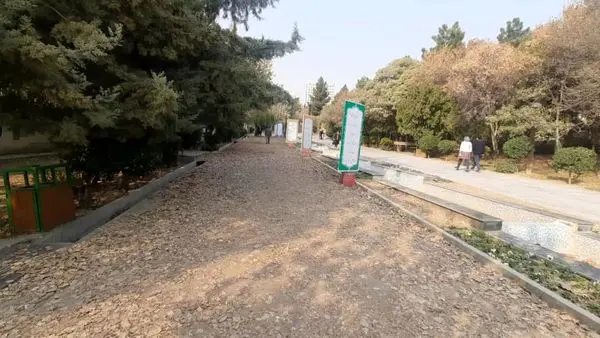 گذر فرش برگ ریزان در بوستان فدک