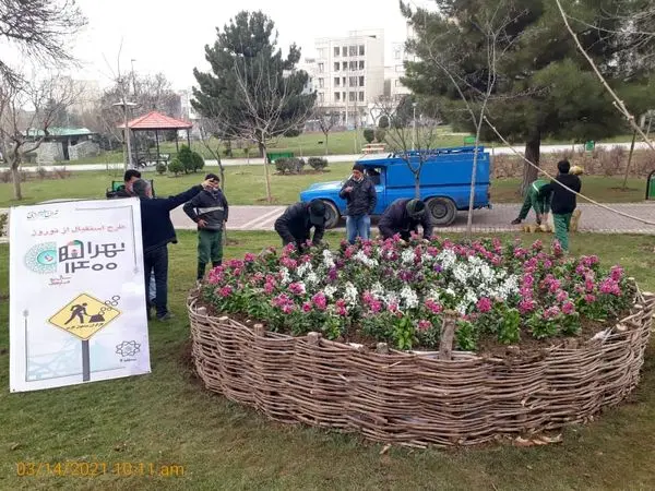 چشم نوازی گلهای زیبا در سراسر منطقه 4