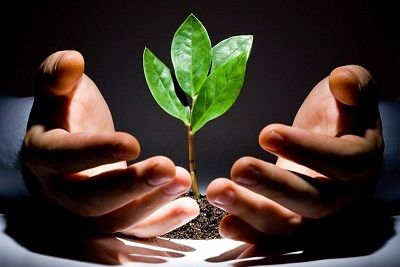 امهال سودکارمزدی و جریمه‌های دیرکرد تسهیلات پرداختی به بخش کشاورزی در بانک سینا

