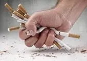رصدشهردارمنطقه 4 از پروژه های ترافیکی طهران کوچک