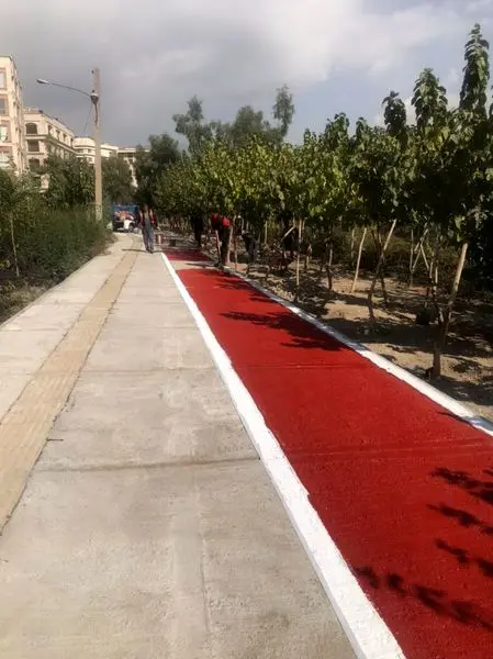 تبدیل یکی از نقاط بی دفاع شمال شرق تهران به گذر ایمن