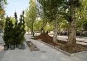 بازدید مدیران شهری از مگاپروژه منطقه ۱۷

