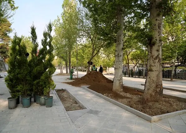 فضای سبز پیاده راه شهریار تا هفته آینده تکمیل می شود