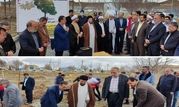 کاشت چهار هزار اصله نهال در تصفیه خانه فاضلاب آشتیان