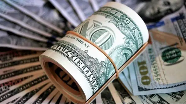 ورود ارز به کشور به هر میزان آزاد شد