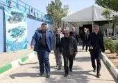پل دوربرگردان شمال به شمال بزرگراه شهید چمران بهره برداری شد

