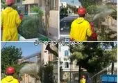 آغاز بهره‌برداری از مخزن ذخیره آب در بوستان شقایق با ظرفیت ۱۰۰۰ متر مکعب

