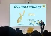 رشد ٣٠ درصدی پرتفوی بیمه نوین در سال ٩٨
