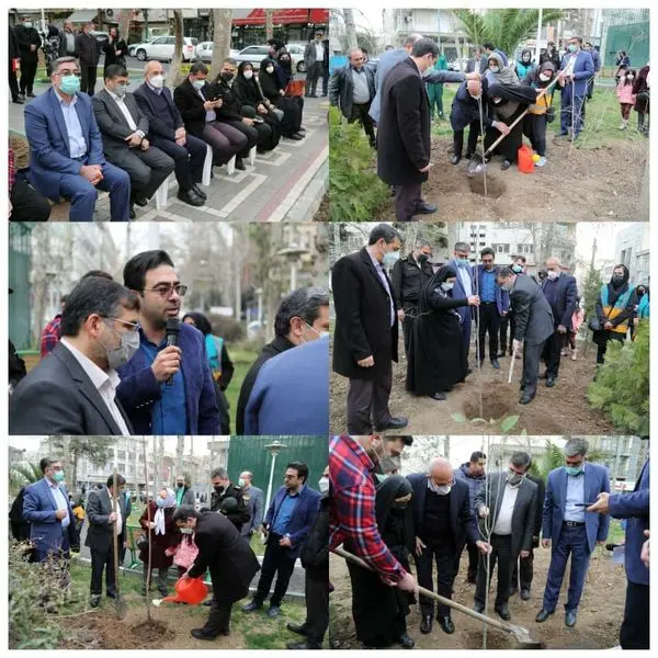 کاشت نهال توسط مادران شهدا در قلب پایتخت