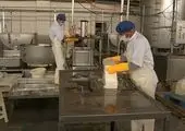 توزیع بیش از ۶۰ هزار تن کود ازت یارانه داردر استان مرکزی

