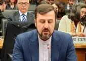 بدن تخلیه شده نوزادان برای حمل مواد مخدر در ایران! +عکس