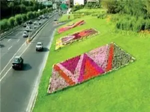 9124 متر مربع فرش گل در حاشیه بزرگراه های منطقه سه گسترده شد

