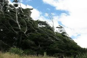 10 عکس زیبا از پیاده روی در طبیعت + تصاویر