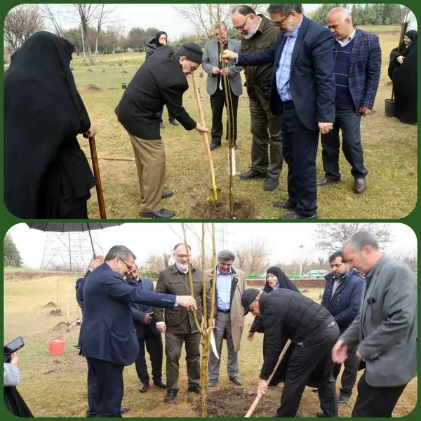 کاشت ۲۰۰۰ اصله نهال به یاد سرداران و 2هزار شهید باب الرضای تهران