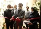 توسعه فضای سبز خانگی منطقه۱۳ با کاشت نهال رایگان در منازل شهروندان 