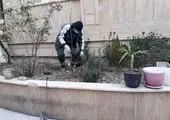 جلسه مشترک ملاقات مردمی شهرداران مناطق ۶ و ۷
