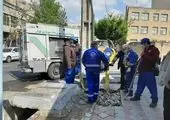 طرح مبارزه با جانوران مضر شهری در بزرگراه های شمال شرق تهران اجرا شد