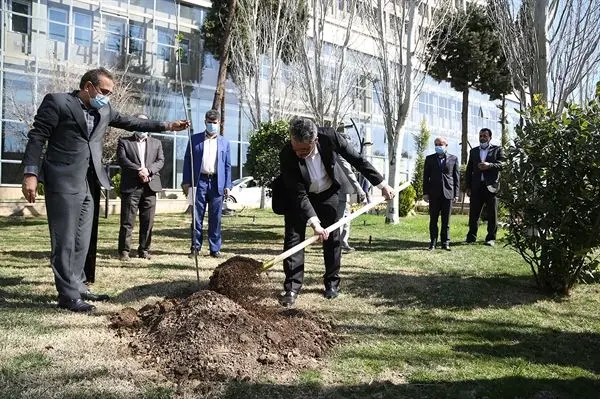 کاشت نهال توسط سرپرست بانک کشاورزی به مناسبت روز درختکاری و هفته منابع طبیعی

