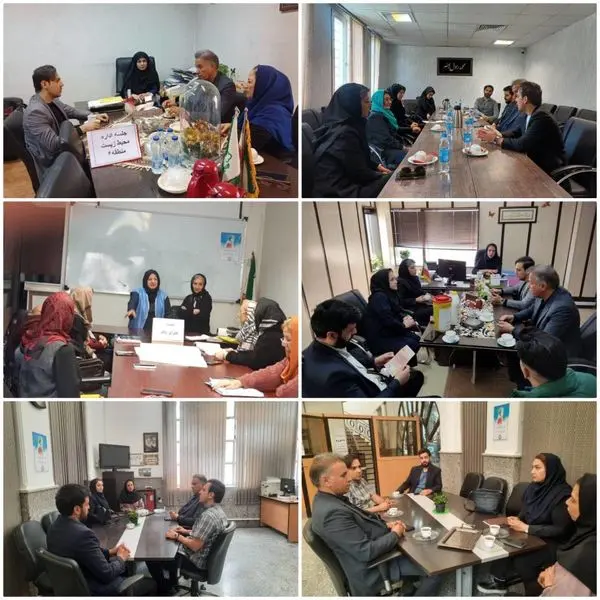 تاکید عضو شورای اسلامی شهر تهران به شناخت بحرانهای محیط زیستی