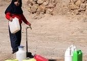 از خشکسالی تا قاچاق دام، در شیوع طاعون نشخوارکنندگان تاثیر دارند