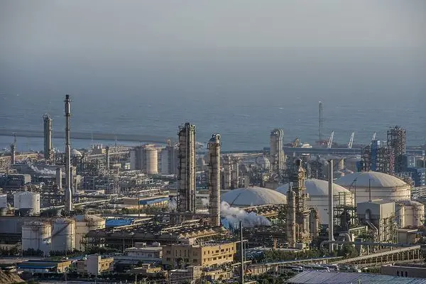 نرخ جدید خوراک و سوخت صنایع پتروشیمی از سوی دولت به مجلس ارسال شد