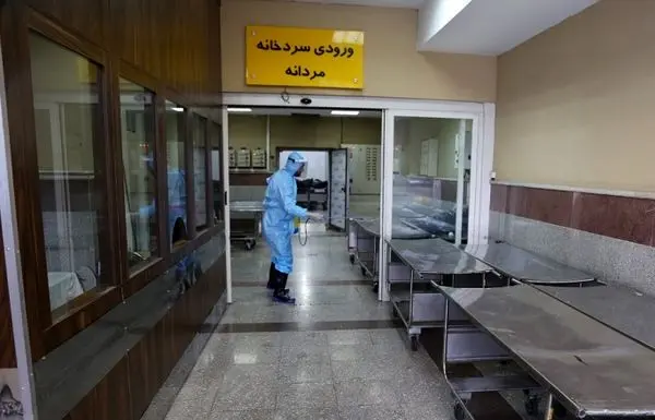 قرائت مستمر آیات قرآن در سردخانه بهشت حضرت زهرا(س)