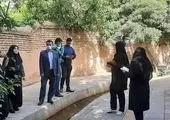 طرح «کاشت و نگهداشت مشارکتی گل و گیاه» در منطقه ۱۳ کلید خورد 

