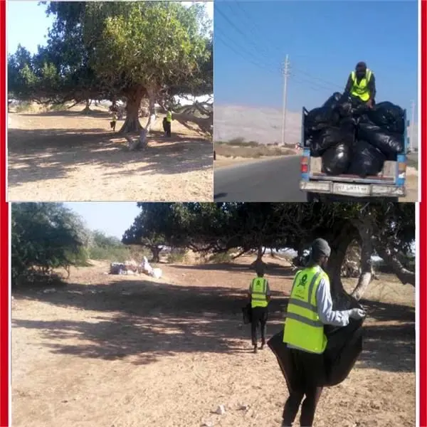 پاکسازی سواحل خلیج فارس در راستای عمل به مسئولیت های اجتماعی انجام شد
