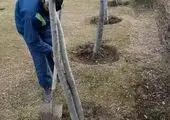 شهری سلامت با تفکیک صحیح پسماند در مبدا

