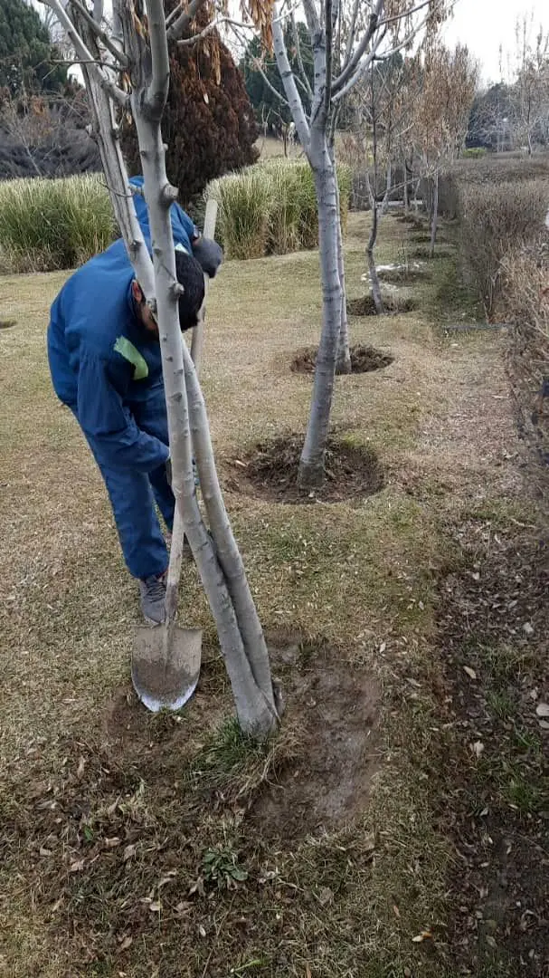 مناسب سازی بوستان های شمال شرق پایتخت در طرح نگهداشت شهر