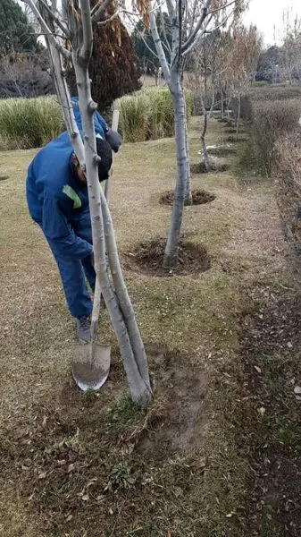 مناسب سازی بوستان های شمال شرق پایتخت در طرح نگهداشت شهر