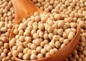 ازسرگیری تشریفات گمرکی حمل یکسره و ترانزیت خارجی در بندر شهید رجایی

