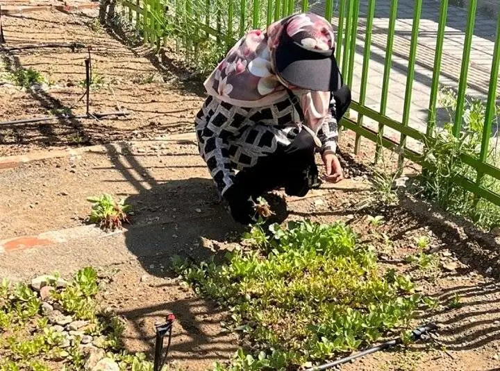 تجربه لذت باغبانی و کشاورزی در بزرگترین مزرعه خانوادگی باغ راه فدک

