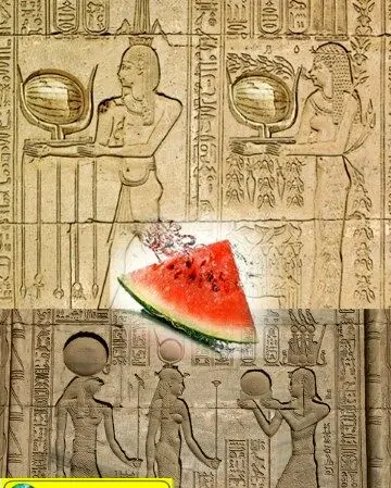 میوه ای که در گذشته درون قبر می گذاشتند+عکس