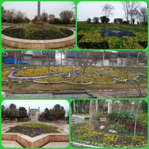 55 فرش گل در باب الرضای منطقه 15 گسترده شد