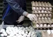تفاهم‌نامه همکاری سه جانبه میان شستا، صندوق بازنشستگی کشوری و سازمان سرمایه‌گذاری ایران امضا شد