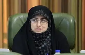 تاکید عضو شورای شهر تهران بر ضرورت تسریع در ساماندهی کسبه آسیب‌دیده بازارچه جنت