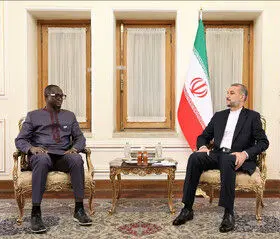 توسعه همه جانبه مناسبات با آفریقا از اولویتهای سیاست خارجی ایران است