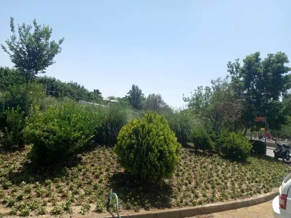 کاشت نشاء فصلی رنگارنگ در فضای سبز بوستان بزرگ ولایت 


