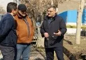 ایجاد۵ محور شهری نمونه با اجرای طرح الگوی خدمت در منطقه2

