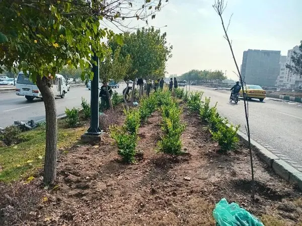 فضای سبز حاشیه بزرگراه‌های منطقه 19 با کاشت4000 درخت، هوای شهر را بهبود می‌بخشد

