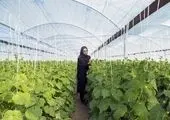 دیدگاه ما باید نسبت به مقام زن تصحیح شود