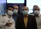 تندیس سیمرغ بر پیکره بی جان درخت خشکیده چنار 

