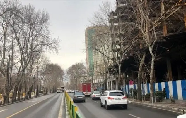 بررسی آفات و بیماری های درختان روتبال در خیابان ولیعصر(عج)

