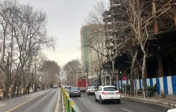 بررسی آفات و بیماری های درختان روتبال در خیابان ولیعصر(عج)

