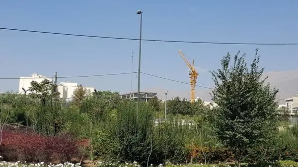 توسعه فضاهای سبز شهری با مشارکت شهروندان شمال تهران