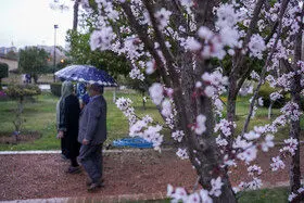 رگبار و رعدوبرق در برخی استان‌های کشور

