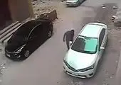
پل معلقی که با علف ساخته می‌شود +تصاویر
