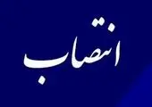 مدیران بانک صادرات ایران در روز درختکاری نهال غرس کردند
