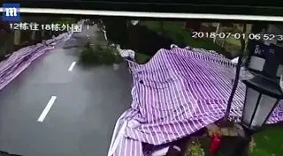 رانش زمین خیابانی را به طرزی وحشتناک فروریخت + عکس